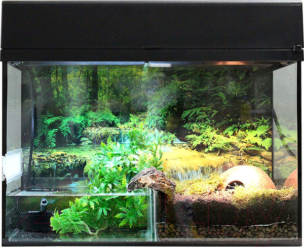 Изображение товара Террариум Lucky Reptile Стартовый комплект для амфибий / SK50BP-B (черный)