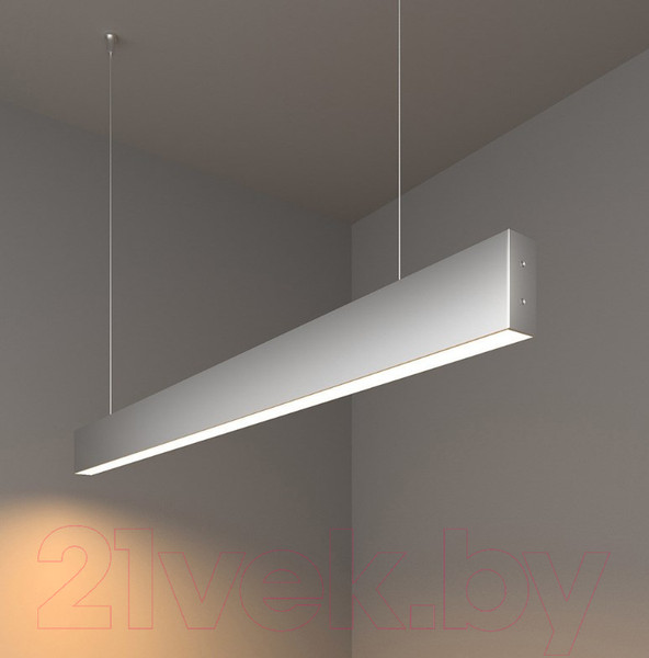 Изображение товара Потолочный светильник Elektrostandard 101-200-30-103 20W 3000K (матовое серебро)