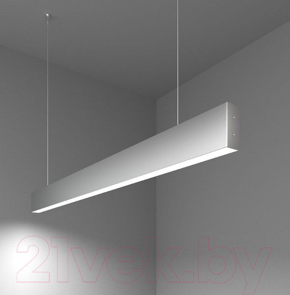 Изображение товара Потолочный светильник Elektrostandard 101-200-30-103 20W 6500K (матовое серебро)