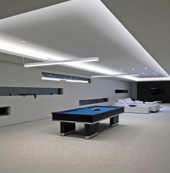 Изображение товара Потолочный светильник Elektrostandard 101-200-30-103 20W 6500K (матовое серебро)