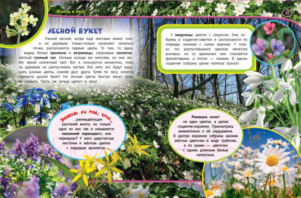 Изображение товара Энциклопедия Росмэн Большая энциклопедия малыша  (Клюшник Л., Травина И., Черненко, Шумеева С.)