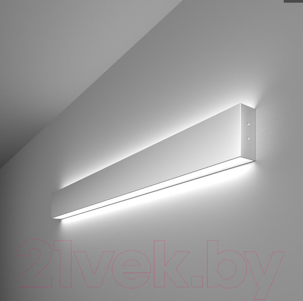 Изображение товара Подсветка для картин и зеркал Elektrostandard 101-100-40-78 30W 6500K (матовое серебро)