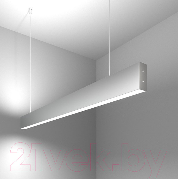 Изображение товара Потолочный светильник Elektrostandard 101-200-40-103 40W 6500K (матовое серебро)