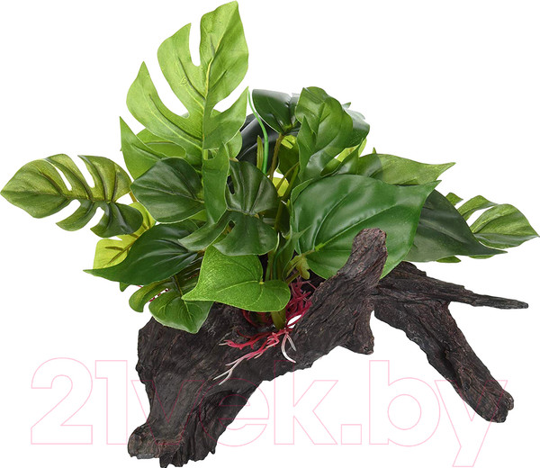 Изображение товара Декорация для террариума Lucky Reptile Forest Wood Premium / FWP-2