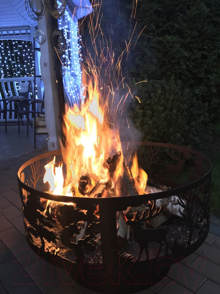 Изображение товара Чаша костровая GALA BB018