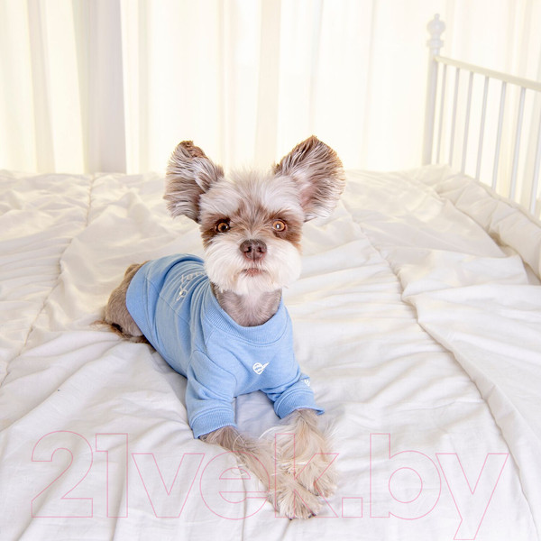 Изображение товара Футболка для животных Pinkaholic Gwyneth / NATA-TS7559-MB-M (голубой)