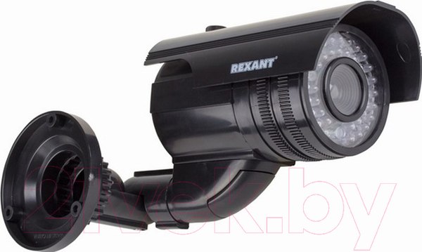 Изображение товара Муляж камеры Rexant 45-0250 (черный)