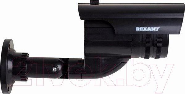 Изображение товара Муляж камеры Rexant 45-0250 (черный)
