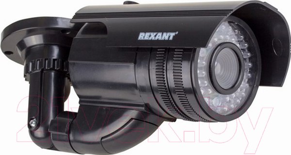 Изображение товара Муляж камеры Rexant 45-0250 (черный)