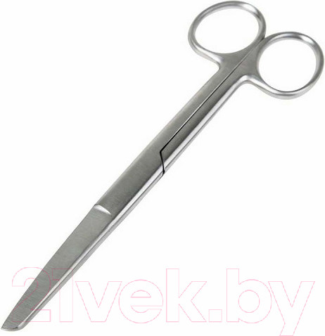 Изображение товара Ножницы канцелярские Rexant 12-4926-9