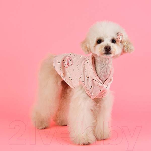 Изображение товара Футболка для животных Pinkaholic Fiorella с капюшоном / NATA-TS7567-IP-M (розовый)