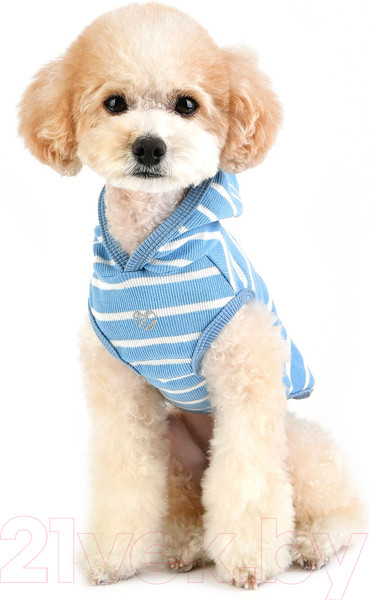 Изображение товара Футболка для животных Pinkaholic Mamours с капюшоном / NATA-TS7565-BL-M (голубой)