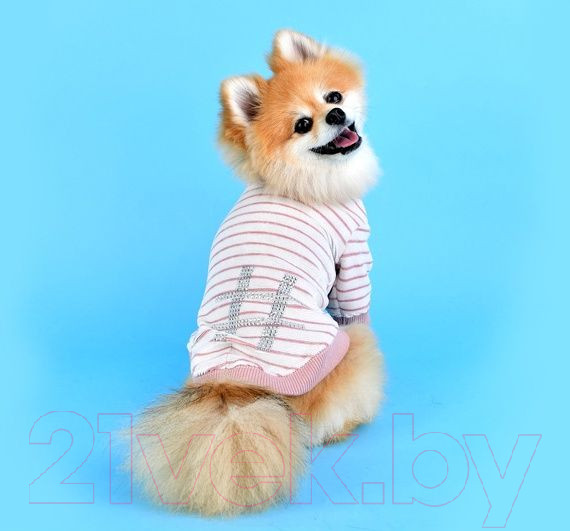 Изображение товара Свитер для животных Pinkaholic Hash / NASD-TS7503-IP-L (розовый)