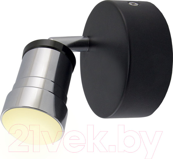Изображение товара Спот TDM SQ0358-0228 (черный/хром)