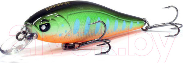 Изображение товара Воблер Lucky John Pro Series Anira F 06.90/104 / AN69F-104