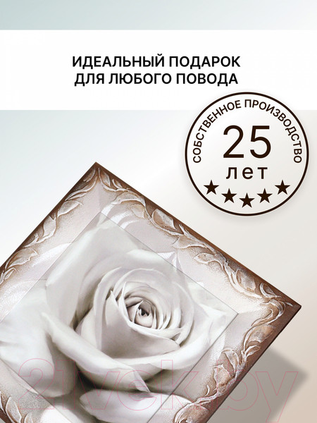 Изображение товара Картина Декарт Нежная белая роза 8Л1742 (в раме)