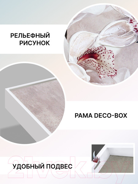 Изображение товара Картина Декарт Белая орхидея 8Л1638 (в раме)