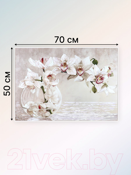 Изображение товара Картина Декарт Белая орхидея 8Л1638 (в раме)