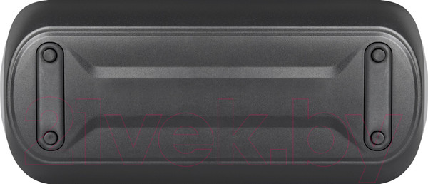 Изображение товара Портативная колонка Defender Enjoy S1000 / 65688 (черный)