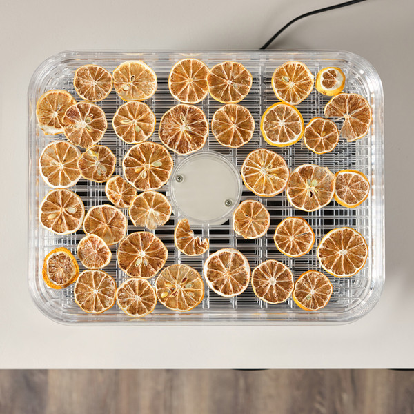 Изображение товара Сушилка для овощей и фруктов Scarlett SC-FD421T19