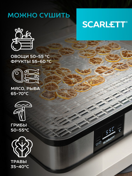 Изображение товара Сушилка для овощей и фруктов Scarlett SC-FD421T19