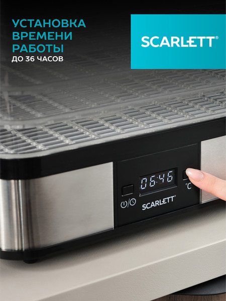 Изображение товара Сушилка для овощей и фруктов Scarlett SC-FD421T19