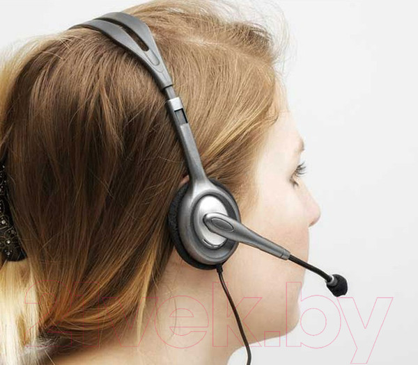 Изображение товара Наушники-гарнитура Logitech H110 981-000271 / 981-000472