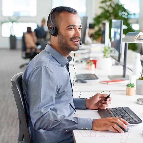 Изображение товара Наушники-гарнитура Logitech PC Headset 960 USB (981-000100)