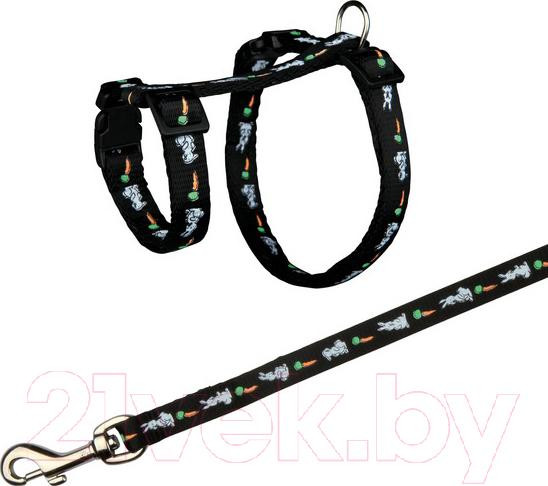 Изображение товара Шлея с поводком Trixie 6263