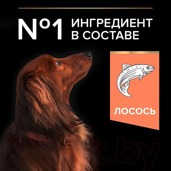 Изображение товара Сухой корм для собак Pro Plan Adult OptiDerma Small & Mini с лососем и рисом (3кг)