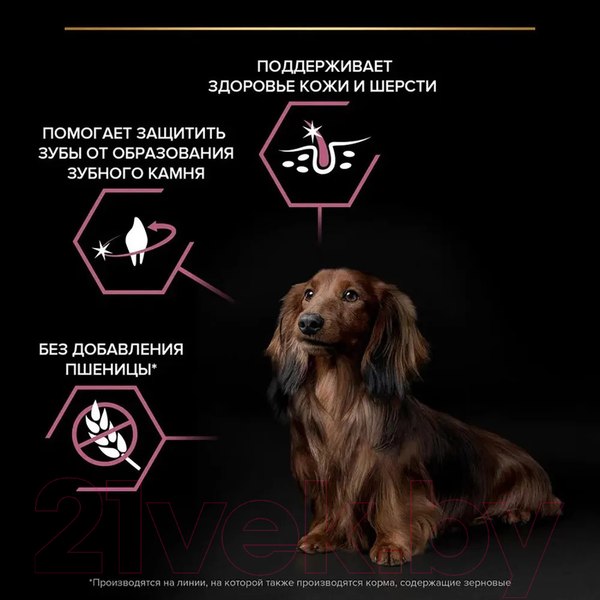 Изображение товара Сухой корм для собак Pro Plan Adult OptiDerma Small & Mini с лососем и рисом (3кг)