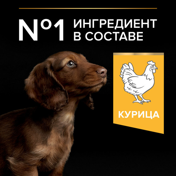 Изображение товара Сухой корм для собак Pro Plan Puppy Small & Mini с курицей и рисом (7кг)