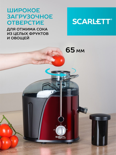 Изображение товара Соковыжималка электрическая Scarlett SC-JE50S15 (бордовый/нержавеющая сталь)