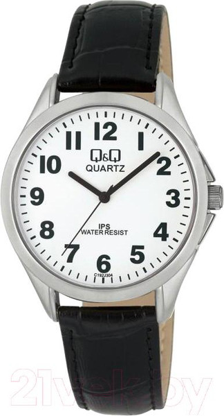 Изображение товара Часы наручные мужские Q&Q C192J304