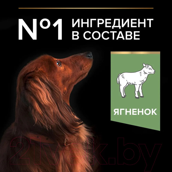 Изображение товара Сухой корм для собак Pro Plan Adult Small & Mini Sensitive Digestion с ягненком и рисом (3кг)
