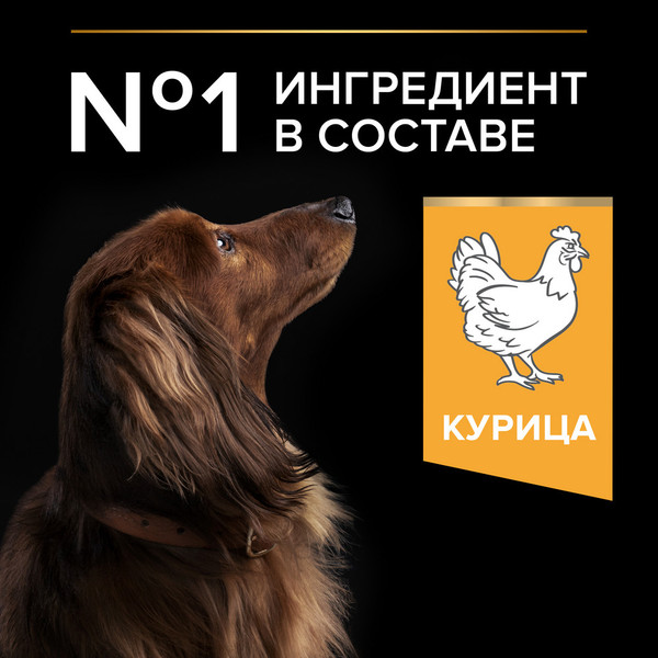 Изображение товара Сухой корм для собак Pro Plan Adult Small & Mini Opti Health с курицей (7кг)