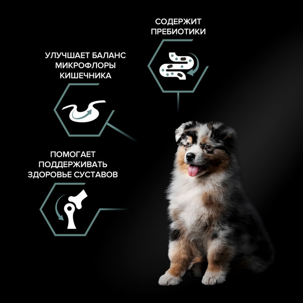 Изображение товара Сухой корм для собак Pro Plan Puppy Medium Sensitive Digestion с ягненком (12кг)