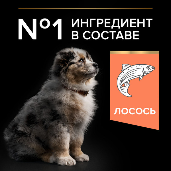 Изображение товара Сухой корм для собак Pro Plan Puppy Medium Sensitive Skin с лососем (12кг)