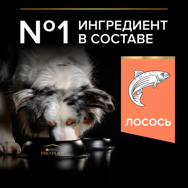 Изображение товара Сухой корм для собак Pro Plan Adult Medium Sensitive Skin с лососем и рисом (14кг)