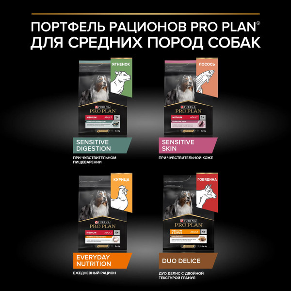 Изображение товара Сухой корм для собак Pro Plan Adult Medium Sensitive Skin с лососем и рисом (7кг)