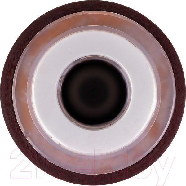 Изображение товара Модуль сменный фильтрующий Гейзер Арагон ЕЖ 10