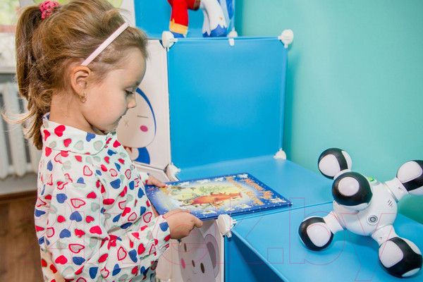 Изображение товара Система хранения Sundays С1201-Р (розовый)