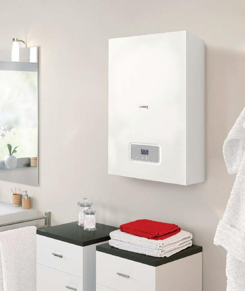 Изображение товара Газовый котел Protherm Гепард 23 MTV