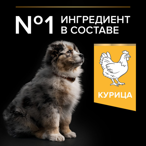 Изображение товара Сухой корм для собак Pro Plan Puppy Medium Optistart с курицей (12кг)