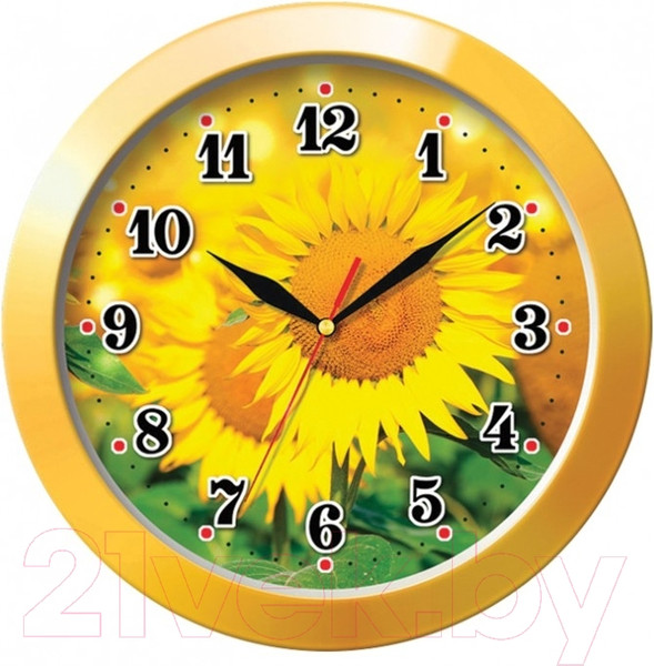 Изображение товара Настенные часы Troykatime 11150154