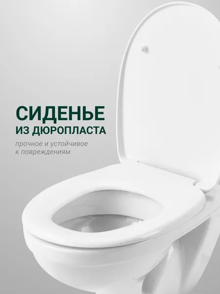 Изображение товара Унитаз подвесной Santek Бореаль WH301977