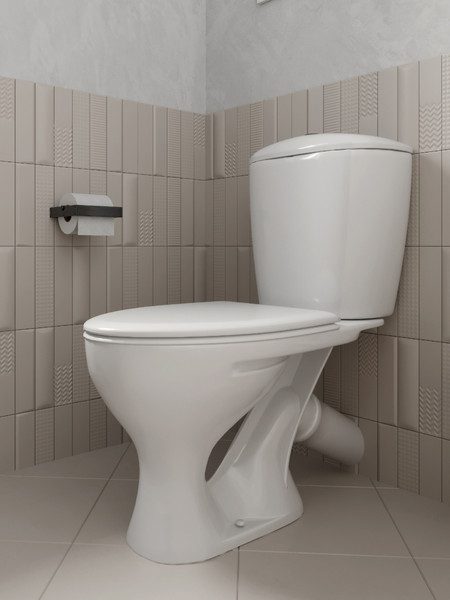 Изображение товара Унитаз напольный Santeri Версия 1P4015S0100BF