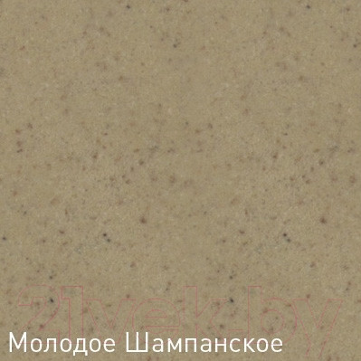 Изображение товара Мойка кухонная Zigmund & Shtain Kreis 505 (молодое шампанское)