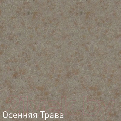 Изображение товара Мойка кухонная Zigmund & Shtain Rechteck 600.2 (осенняя трава)