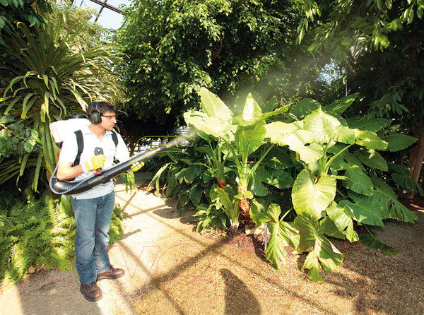 Изображение товара Опрыскиватель бензиновый Efco AT 800 (365280031E1C)